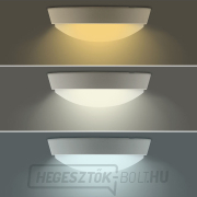 Solight LED kültéri világítás, állítható fényhőmérséklet - 3CCT, 15/18/20W, 1800lm, 22cm, 2 az 1-ben - fehér és fekete burával Előnézet 