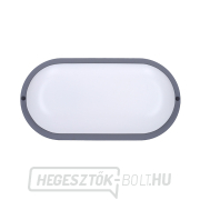 Solight LED kültéri világítás ovális, 13W, 910lm, 4000K, IP54, 21cm, szürke színű Előnézet 