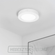 Solight LED mini panel fürdőszobai 2 az 1-ben, 3CCT, mennyezeti/felületre szerelhető, 12W, 1020lm, IP54, fehér, kerek náhled