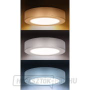 Solight LED mini panel fürdőszobai 2 az 1-ben, 3CCT, mennyezeti/felületre szerelhető, 12W, 1020lm, IP54, ezüst, kerek náhled