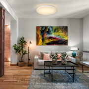 Solight LED mennyezeti lámpa Plain, 15W, 1200lm, 3000K, kerek, 26cm Előnézet 