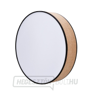 Solight LED világítás távirányítóval Brownie, 60W, 4200lm, 50cm, színváltós, fényerő-szabályozható náhled