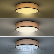 Solight LED világítás távirányítóval Brownie, 60W, 4200lm, 50cm, színváltós, fényerő-szabályozható náhled