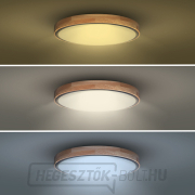 Solight LED világítás távirányítóval, Iron Oak, 48W, 3360lm, 40cm, színváltós, fényerő-szabályozható náhled