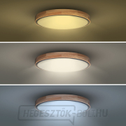 Solight LED világítás távirányítóval, Iron Oak, 60W, 4200lm, 51cm, színváltós, fényerő-szabályozható náhled