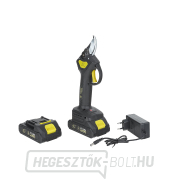 Akkus ágvágó 30 mm 2x2.0 Ah 21V teleszkópos nyelű 1,65-2,50 m náhled
