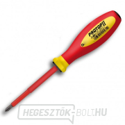 PROTOP II VDE PH2x100 PROTOP II VDE PH2x100 gallery main image