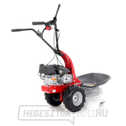 VEGA RS90 RATO 170 náhled