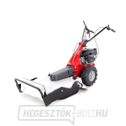 VEGA GMC 53 RATO 170 náhled