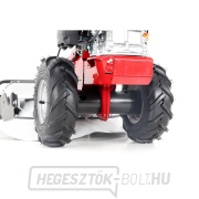 VEGA GMC 53 RATO 170 náhled