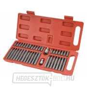 HEX-TORX-XZN bitek, 40 darabos készlet gallery main image