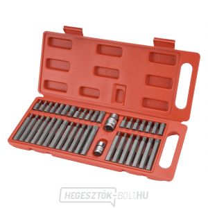 HEX-TORX-XZN bitek, 40 darabos készlet HEX-TORX-XZN bitek, 40 darabos készlet gallery main image
