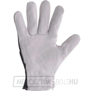 CXS TECHNIK ECO kesztyű, kombinált, 10-es méret Előnézet 