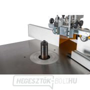 TFS-100/30 asztalosgép náhled