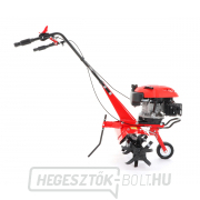 Vega MULTI 36-60 kultivátor, benzin  Vega MULTI 36-60 kultivátor, benzin  náhled