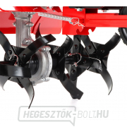 Vega MULTI 36-60 kultivátor, benzin  Vega MULTI 36-60 kultivátor, benzin  náhled